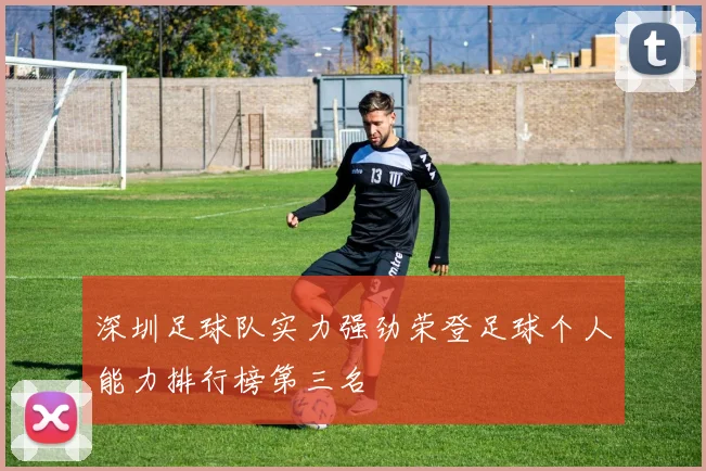 深圳足球队实力强劲荣登足球个人能力排行榜第三名