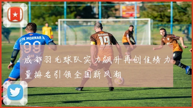 成都羽毛球队实力飙升再创佳绩力量排名引领全国新风潮