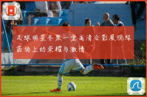 足球明星齐聚一堂高清合影展现绿茵场上的荣耀与激情