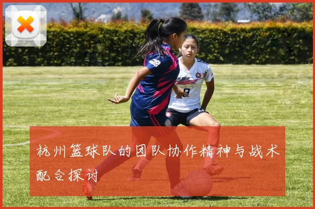 杭州篮球队的团队协作精神与战术配合探讨