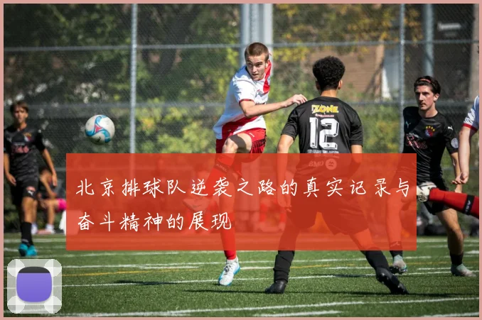 北京排球队逆袭之路的真实记录与奋斗精神的展现