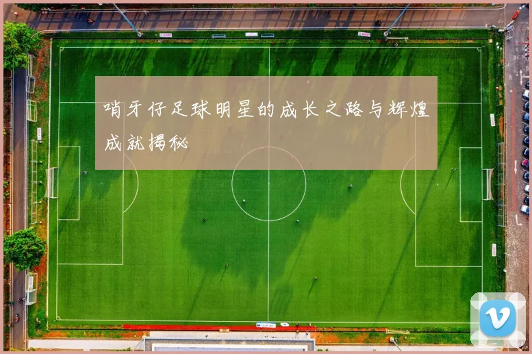 哨牙仔足球明星的成长之路与辉煌成就揭秘