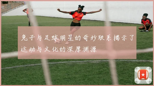 兔子与足球明星的奇妙联系揭示了运动与文化的深厚渊源