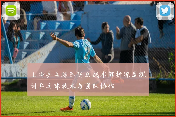 上海乒乓球队防反战术解析深度探讨乒乓球技术与团队协作