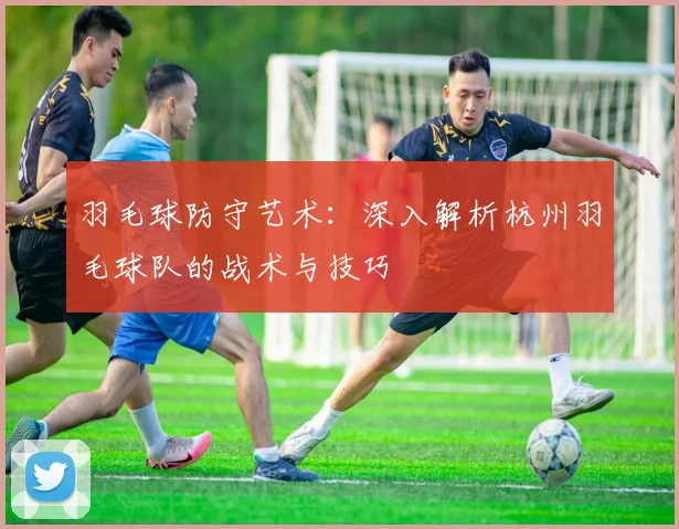 羽毛球防守艺术：深入解析杭州羽毛球队的战术与技巧